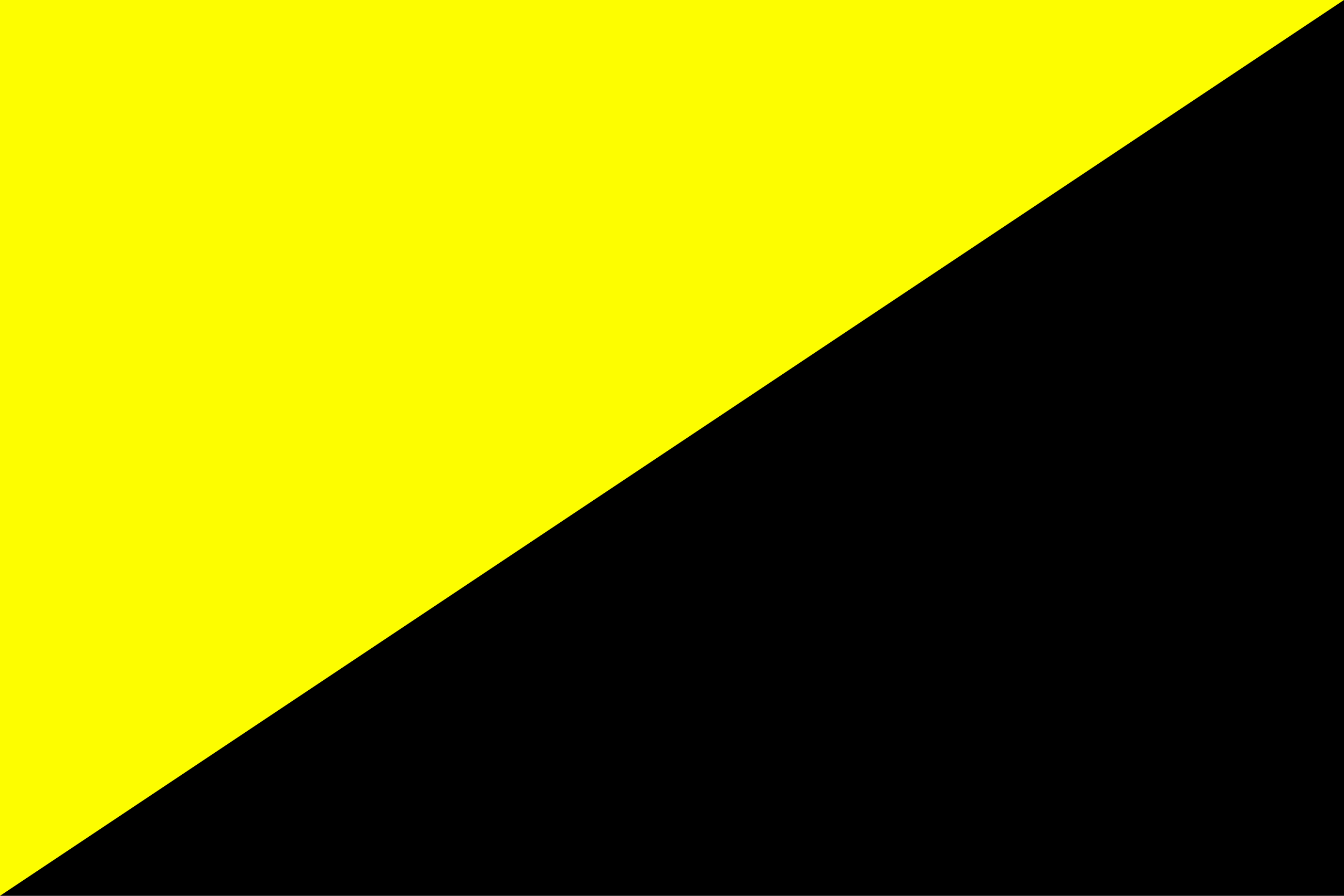 anarcho-capitalism